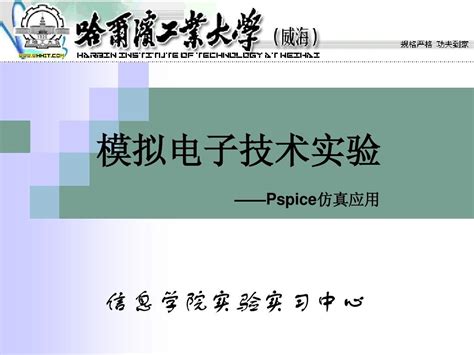 PSpice Programming 的图像结果
