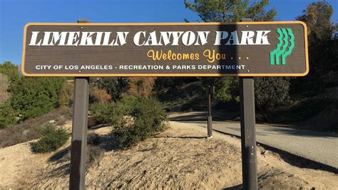 Christmas Bird Count in Los Angeles at Limekiln Canyon