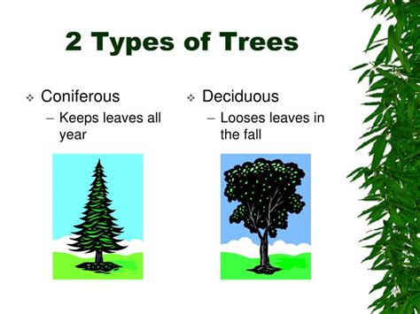 Tree Traversal Using Recursion in Java に対する画像結果