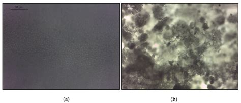 Behaviour of Aquaporin Forward Osmosis Flat Sheet Membranes during the ...