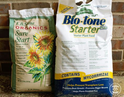 Feed Your Plants: Organic Starter Fertilizer Comparison