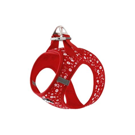 Truelove Floral Harness, Small & Medium Breeds-Poinsettia | Zigly