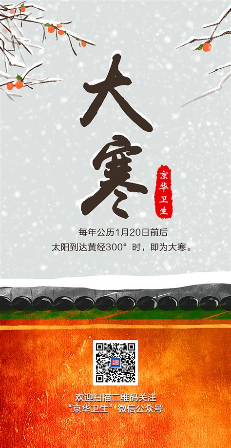 大寒海报设计|平面|海报|一只Sakura - 原创作品 - 站酷 (ZCOOL)