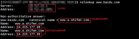 DNS自述：我是如何为域名找到家的-如何查看域名的ip