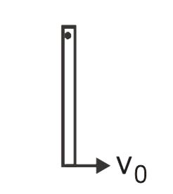 A thin uniform rigid rod of length L is hinged at one end so that it ...