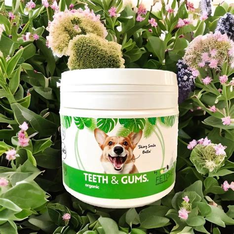 Science Backed Natural Dog Supplements | FETCHED