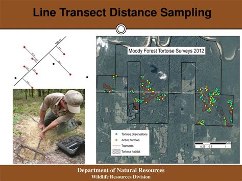 Image result for Line Transect Method