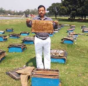 Grassroot Foundation | Home
