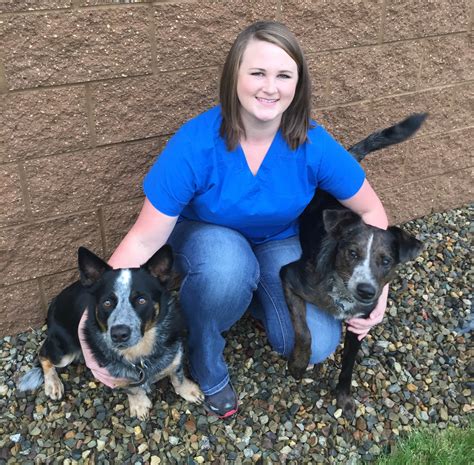 Vet Degree Missouri at Shawn Keim blog