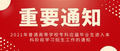 杭州营造毕业生就业良好生态 去年接收应届毕业生首超8万