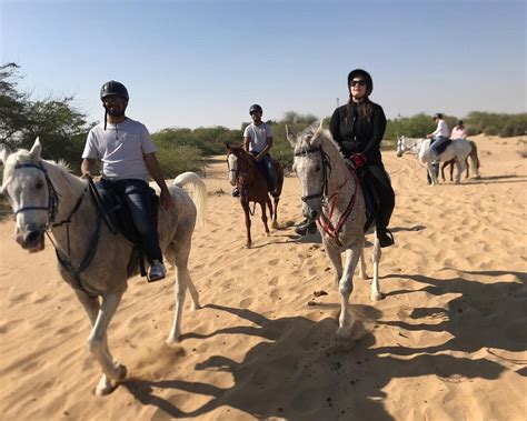 PRO RIDE STABLES (2025) All You Need to Know BEFORE You Go (with Photos ...