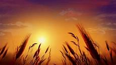 Free Picture by Free Hd Wedding Background Free Motion Free Picture