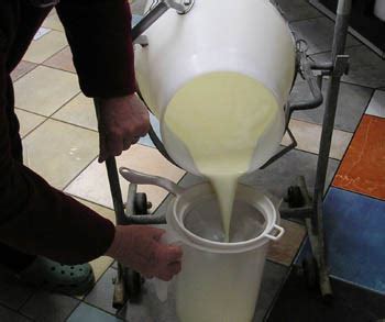 Basic Cheesemaking Process – World Cheese Map