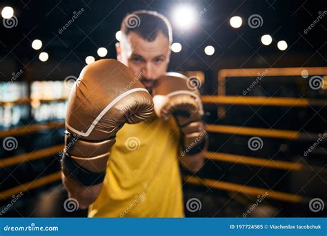 Boxing Defensive Stance 的图像结果