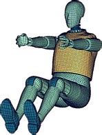 LSDYNA Frontal Impact Dummy Models from Humanetics