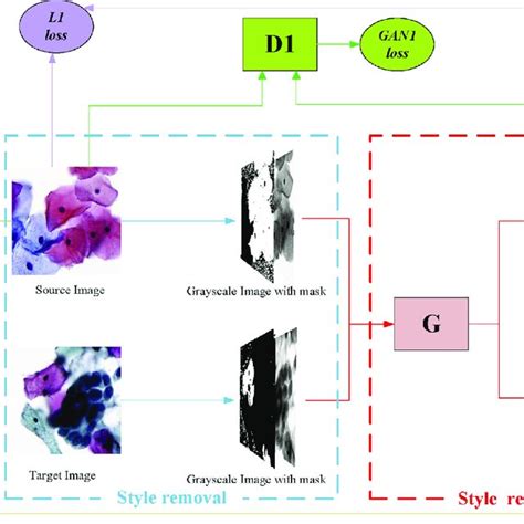 Image result for Normalized