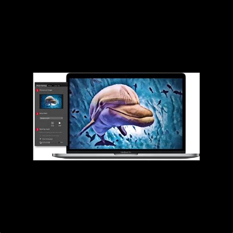 Image result for Painter Essentials 8 Key Input