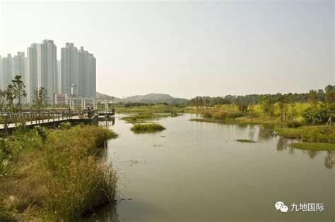 河流整治 | 基于生态理念下的现代城市河道景观治理