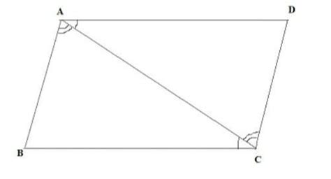 does a diagonal of a parallelogram divide the parallelogram into two ...