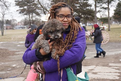 PalmerPark Unleashed-Detroit Dog Park