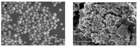 Highly Efficient Mesoporous Core-Shell Structured Ag@SiO2 Nanosphere as ...