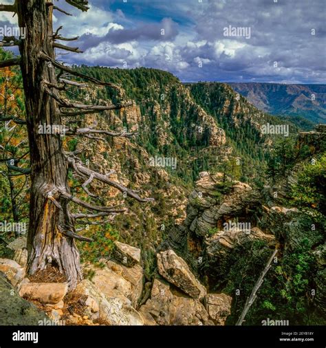 Mogollon rim hi-res stock photography and images - Alamy