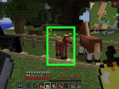 How to Breed Horses in Minecraft (with Pictures) - wikiHow