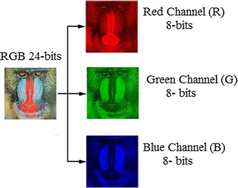 Image result for RGB Image Processing