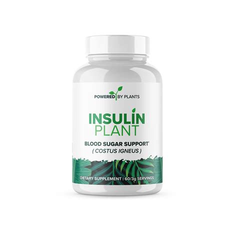 Top 5 Best Over The Counter Supplement For Insulin Resistance 2026 - Pixelfy blog