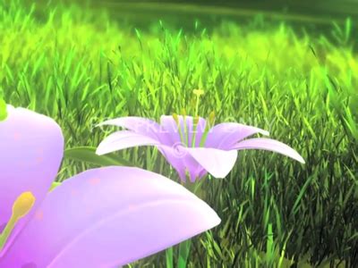 Web Development Company in Pune | Digital Marketing Services in Pune ...