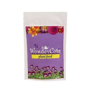 Divine Tree Wonder Cote 90 Slow Release Npk Plant Fertilizer for ...