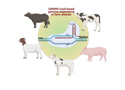 Science Of Animal Growth Care And Management at Eva Facy blog