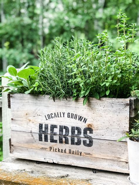 How To Build A Herb Garden Container at Jesse Mcmorrow blog