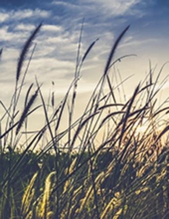 Kenneth Lakin Obituary (2025) - Springfield, MO - Walnut Lawn Funeral ...