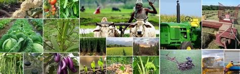 The Banki Central Cooperative Bank Ltd