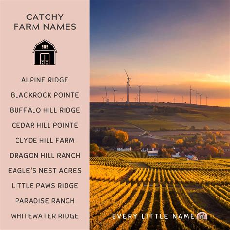 120+ Best Farm Names (Whimsical, Funny, and Catchy) - Every Little Name