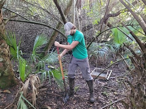 Tribal Preservation Strategies
