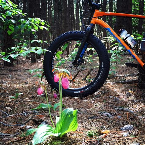 Riley Trails Mountain Bike Trail in Holland, Michigan - Directions ...