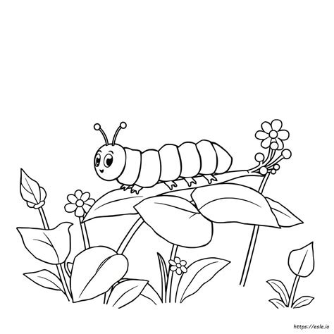 Caterpillar Coloring Pages
