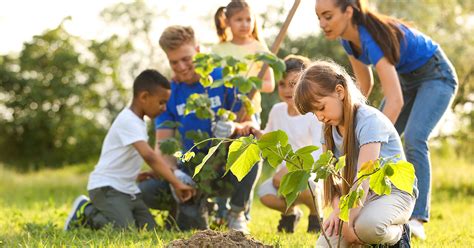 Community Partnership 的图像结果