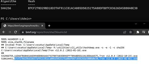 Image result for Tron Script Windows 1.0