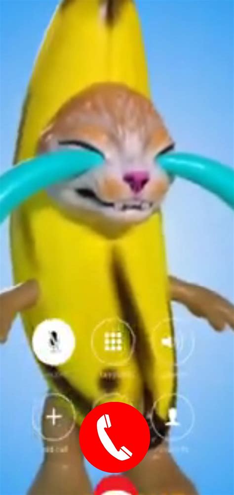 Banana Cat Meme APK for Android Download