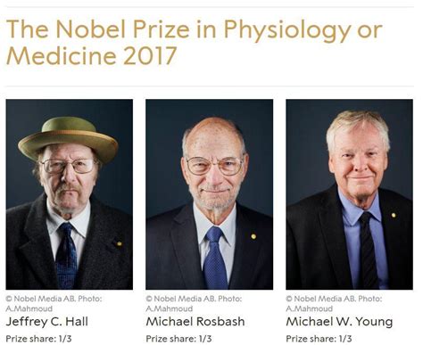诺贝尔奖来了 首先揭晓的生理学医学奖有哪些故事？|界面新闻 · 天下