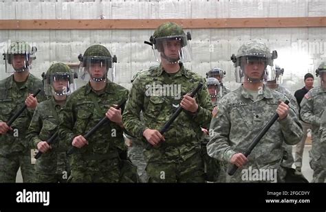 USA MP 的图像结果