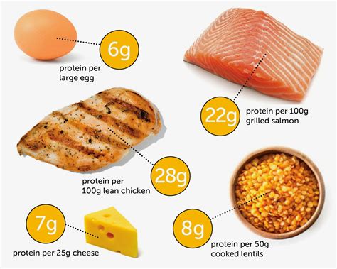Planet Shark Fitness : The Best Ratio of Carbs, Protein & Fats For ...