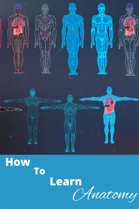 Medical Coding Anatomy Interview Questions 的图像结果