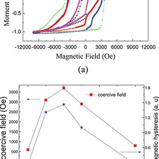 Magnetization 的图像结果