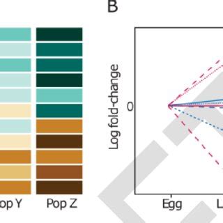 Example of Transcriptome 的图像结果