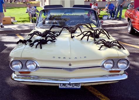 Hairy legs and vintage cars: The spider lovers…