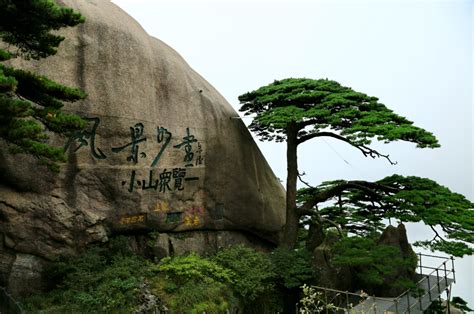 二年级上册语文|黄山奇石